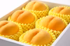 訳あり品　白桃・黄桃　 9月上旬～9月下旬発送　品種おまかせ　約2kg