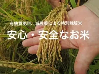 大地の恵みいっぱい【特別栽培米】コシヒカリ白米