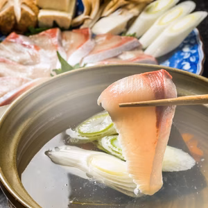 【リピーター必至の高級魚】9月発送☆青物御三家№1天然『極み』ヒラマサ刺身カット