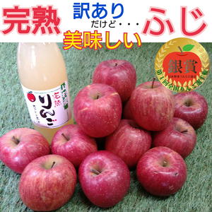 新春特価◆訳アリ◆完熟ふじりんご約4kg＆ジュース