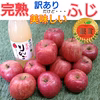 新春特価◆訳アリ◆完熟ふじりんご約4kg＆ジュース