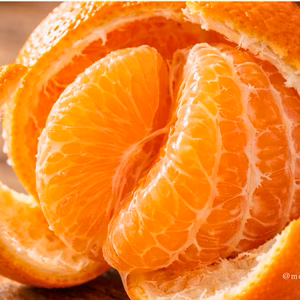 【愛媛特産♬】宮内伊予柑☆大三島☆果汁たっぷり甘酸っぱい冬の果実