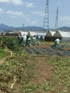 ジャガイモ　品種　タワラマゼラン　10㎏　有機栽培　農薬不使用