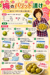【期間限定】【青梅】【梅郷】　梅の香りたっぷり　我夢舎羅村