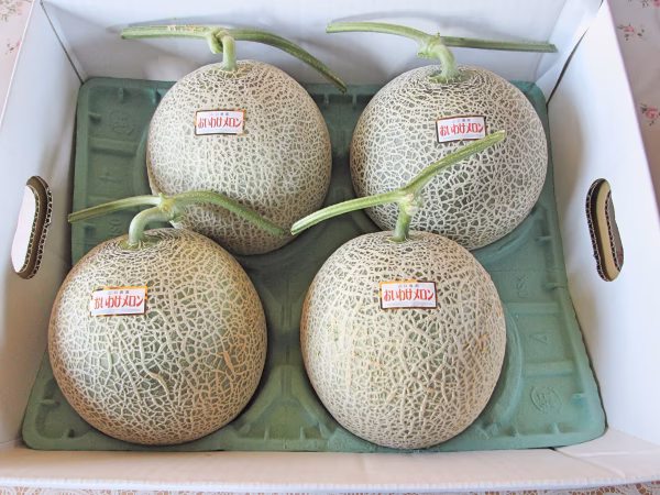 【ビックリ価格！】　秋の最終セール　自宅用　北海道　赤肉メロン