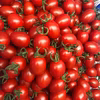 和歌山県産アイコトマト1kg