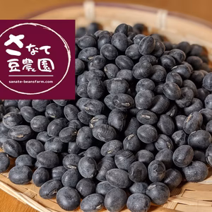 甘みたっぷり【黒豆】ポスト格安発送 500g・900g