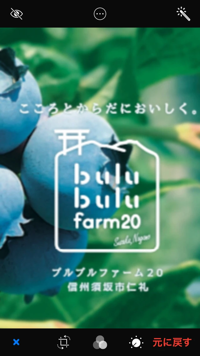 厳選してこだわって作った  完熟ブルーベリー500グラム 予約受付中