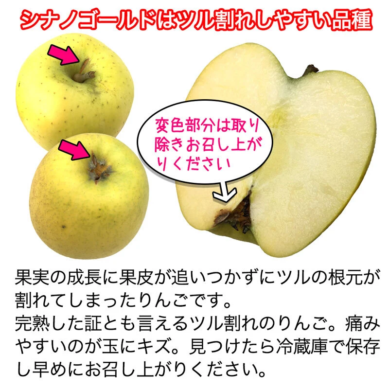 シナノゴールド 加工用 約1.8kg 5-10玉 加工向き #NAG0K018