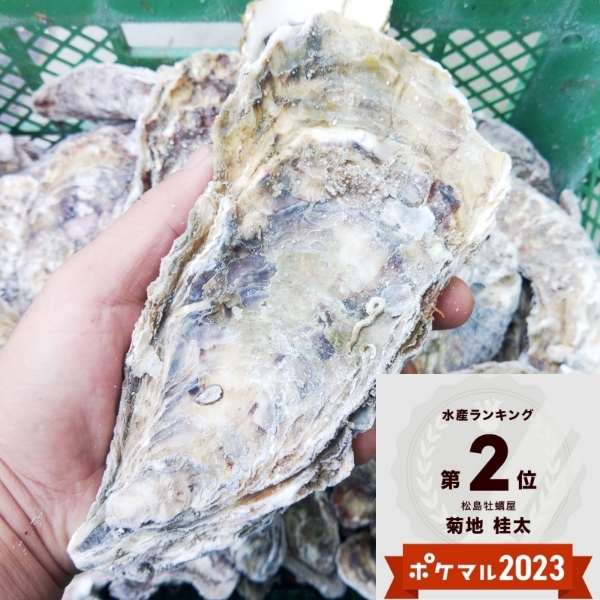 3年のデカい冷凍牡蠣 3k/5k/10kg BBQに牡蠣 殻付き 牡蠣
