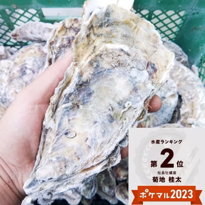 3年のデカい冷凍牡蠣 3ｋ/5ｋ/10ｋg ＢＢＱに牡蠣 殻付き 牡蠣 牡蛎