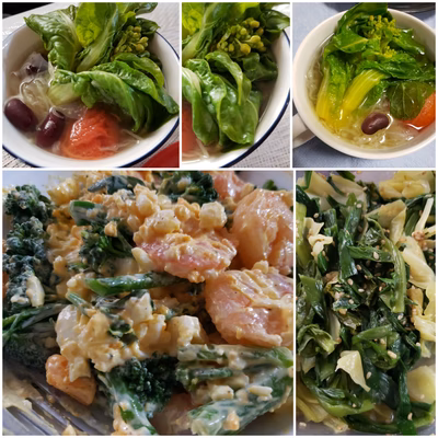 みんなの投稿の画像