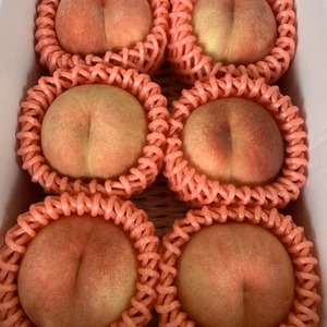 桃　川中島  1キロ　秀品