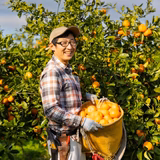 伊藤貴章 | いとうふぁーむ