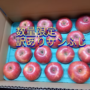 訳あり 小玉サンふじ『家庭用』味よし‼️数量限定‼️