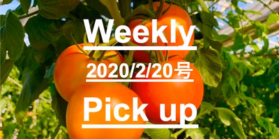 春が待ち遠しい！！3〜5月発送予定の予約商品