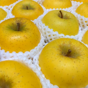 ヒンヤリお届け✨家庭用小玉❗️シャキシャキ食感シナノゴールド