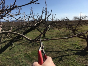 _4-e1484060225522-1024x768