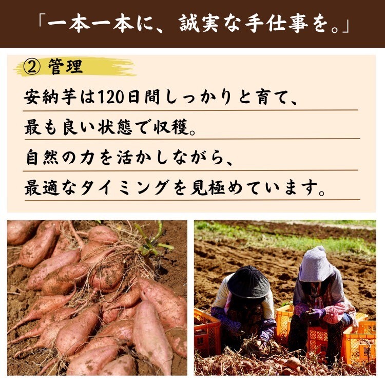 オーガニック種子島安納いも10kg｜ MIXサイズ（有機認証