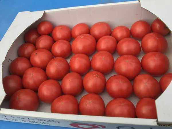 3kg「贅沢トマト」ちっちゃいプレミアム