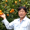 平畑信文