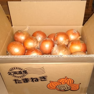 玉ねぎ(サイズＭ~２Ｌ)北もみじ2000 北海道富良野産　