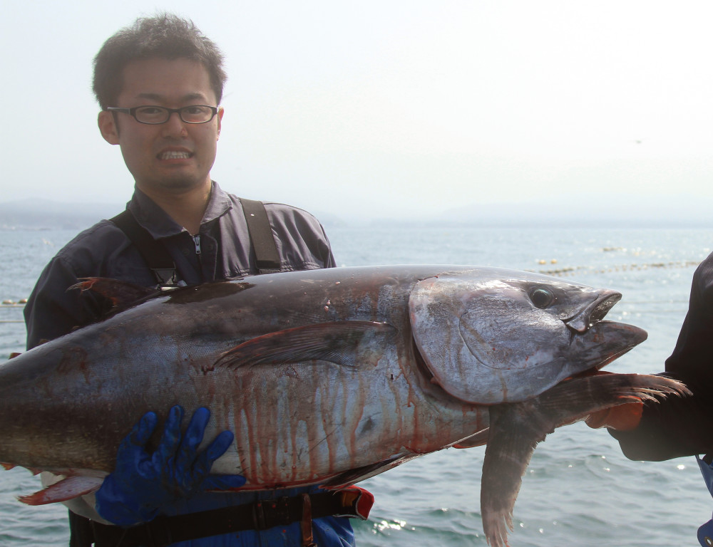 イベント 清澄白河でマグロ漁師と語らいながら美味しいお魚食べる会 を開催しました 農家漁師から産地直送の通販 ポケットマルシェ