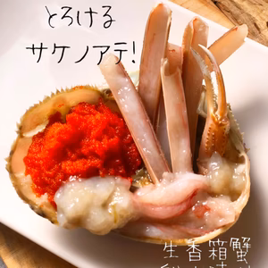 【お値下げ中】生でべる香箱蟹の船上漬け3杯！蒸し蟹や蟹めしにアレンジも！