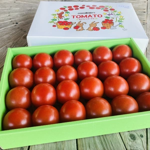 薄皮で酸味が少ない中玉トマト（フルティカ）