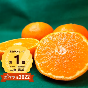 Sサイズ　完熟ミカン　農家の人気おススメ味濃厚　a新規格追加