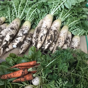 　冬の温野菜詰め合わせ！