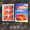 沖縄県産アップルマンゴー