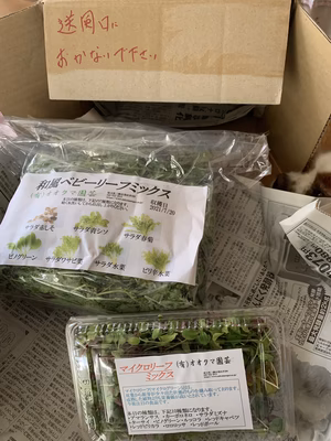 みんなの投稿の画像