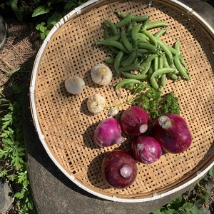 熊本県八代産5月に採れた野菜詰め合わせ　3kgほどです