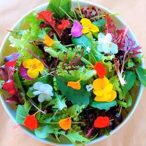 【母の日にキラキラお料理✨】エディブルフラワーとベビーリーフのセット