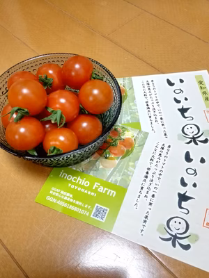 みんなの投稿の画像