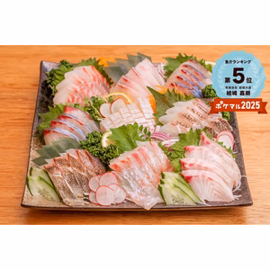 金寿カンパチ増量！おまかせ3魚種　刺身用ブロックセット