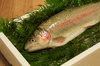 しそう森林のサーモン　短冊2枚（約600グラム、1匹分）