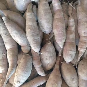 【訳あり】サツマイモ 紅はるか　農薬.化学肥料不使用