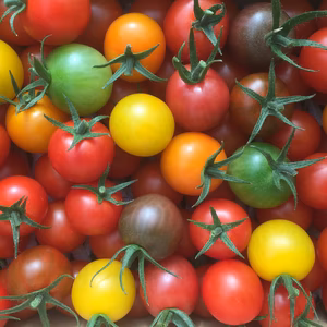 ☆共同購入に…お勧め‼︎《7色の美トマト×2箱》くす美トマト農園