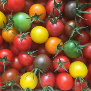 ☆共同購入に…お勧め‼︎《7色の美トマト×2箱》くす美トマト農園