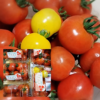 みんなの投稿の画像