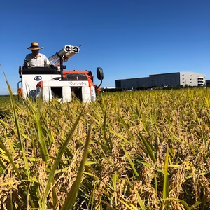 令和4年産　白鳥飛来のさと川島町から　彩のきずな　精米５キロ～