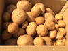 【新ジャガ】サヨばぁちゃんのジャガイモ『デジマ』　約12ｋｇ+野菜のオマケ付