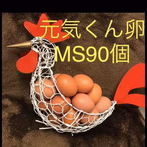 元気くん 卵　90個　小さなコロナ支援
