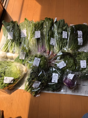 みんなの投稿の画像