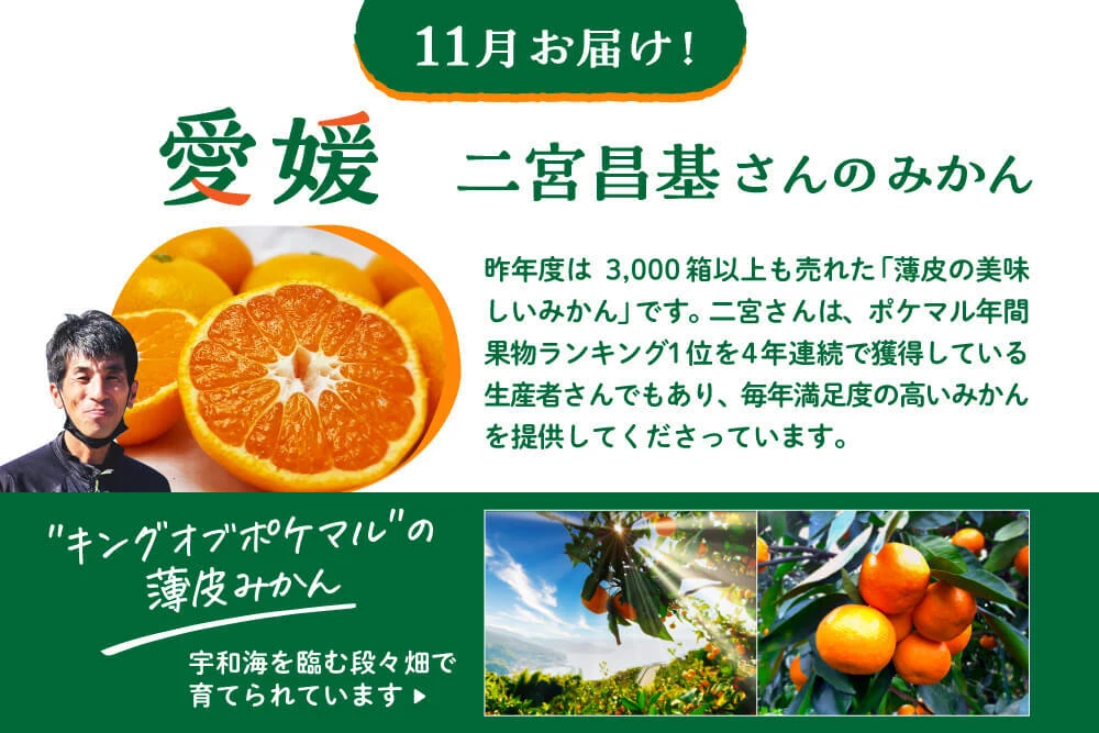 3大生産地×人気生産者「みかん食べ比べ定期便」