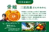 3大生産地×人気生産者「みかん食べ比べ定期便」