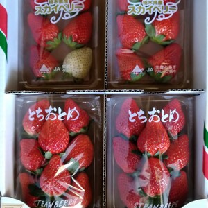 収量増加につき特価！完熟❤️スカイベリーととちおとめの食べ比べセット❤️