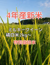 新米4年産ミルキークイーン精白米